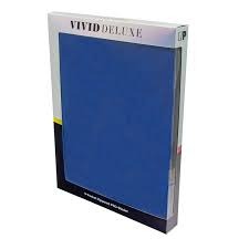 Ultra Pro - Vivid Deluxe 9-Pocket Zippered PRO-Binder - Blue